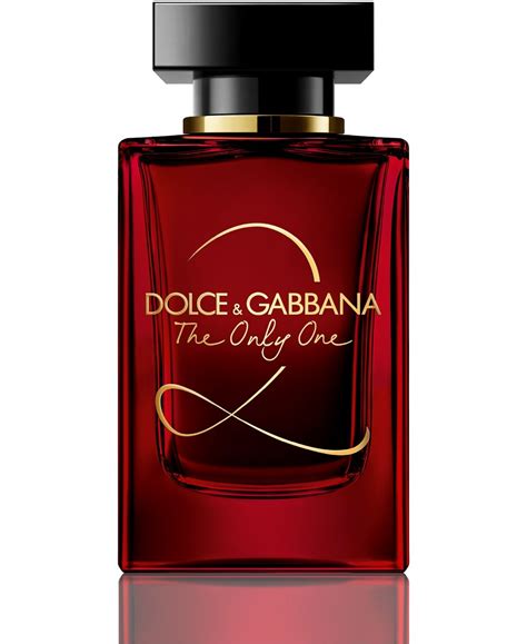 dolce gabbana perfume women's macy's|dolce and gabbana female perfume.